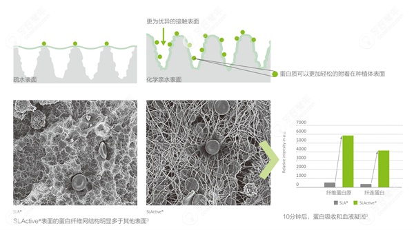 亲水性种植体的材质