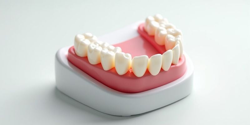 为什么选择太原环中口腔www.easyjf.com