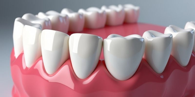 长春牙冠军牙4800是真的吗？真实用户评价：用的是奥齿泰种植体