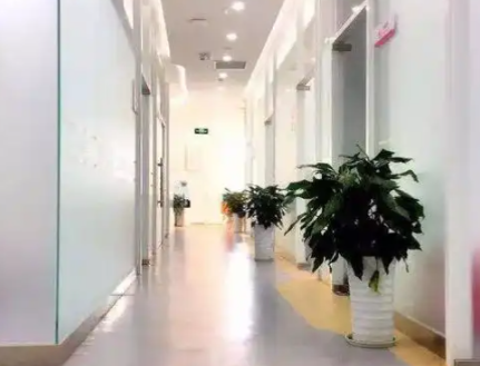 成都菁品口腔就诊全流程指南