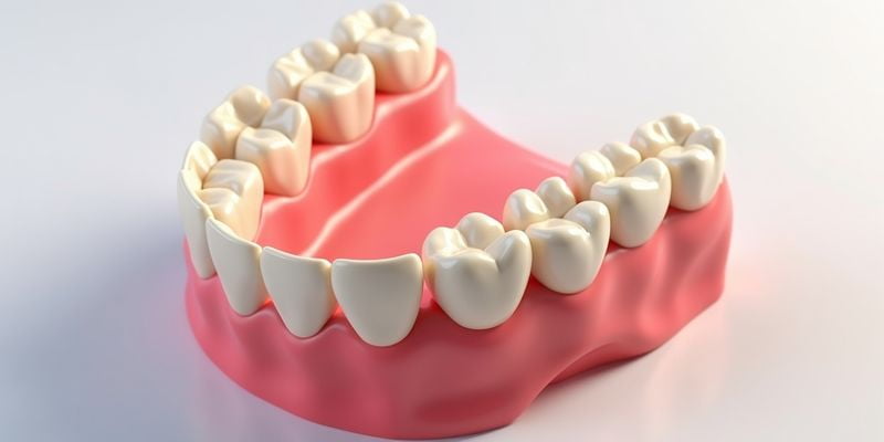 三、长春传阳口腔地址、预约与真实口碑www.easyjf.com