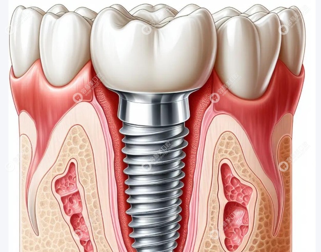 以人为本的沟通艺术与人文关怀 以人为本的沟通艺术与人文关怀