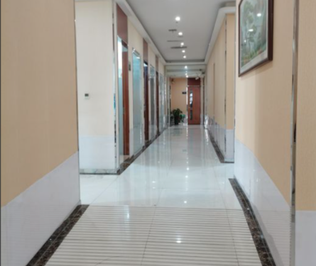 医生团队：汇聚人才，医术精细