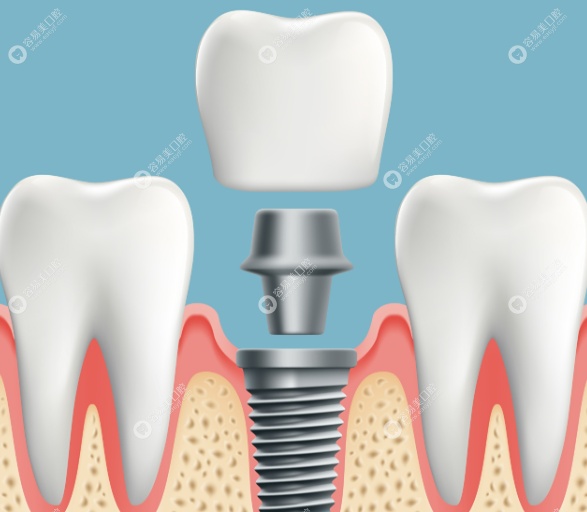 背景與學(xué)術(shù)成就