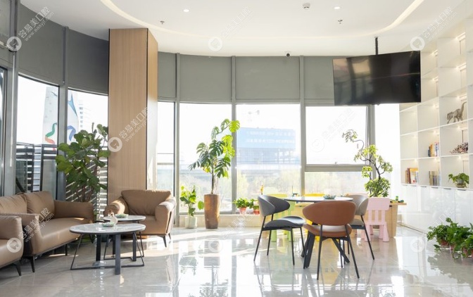 专业诊疗与服务