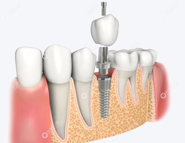 擅长领域与技术优势