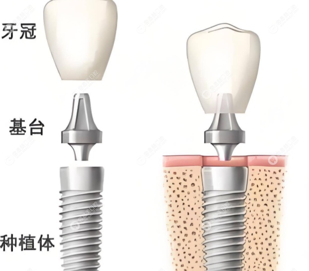 擅长项目 擅长项目