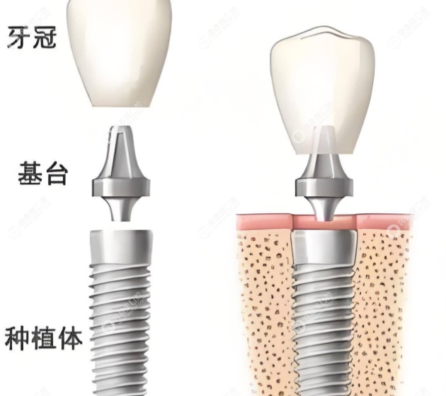 庄晓东医生简介