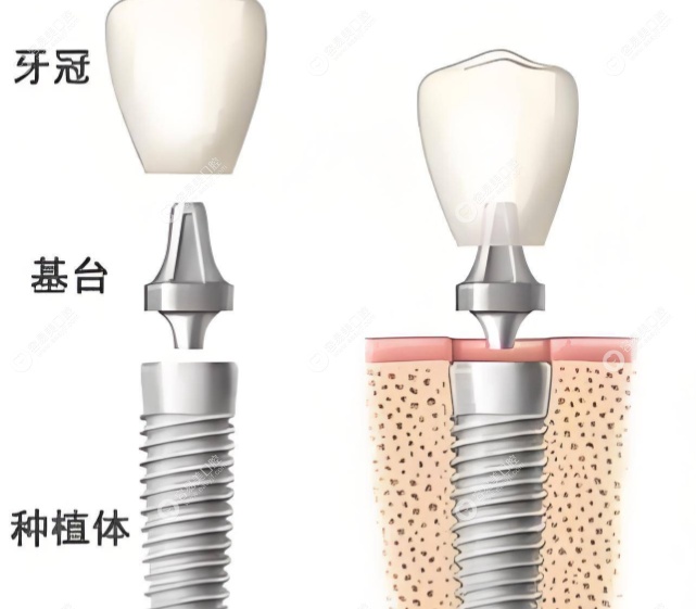 背景与临床经验