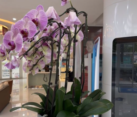 无锡拜博口腔地址大揭秘，各分院详细位置一网打尽，快收藏