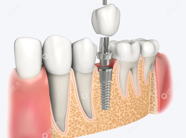 医生背景与资质 医生背景与资质