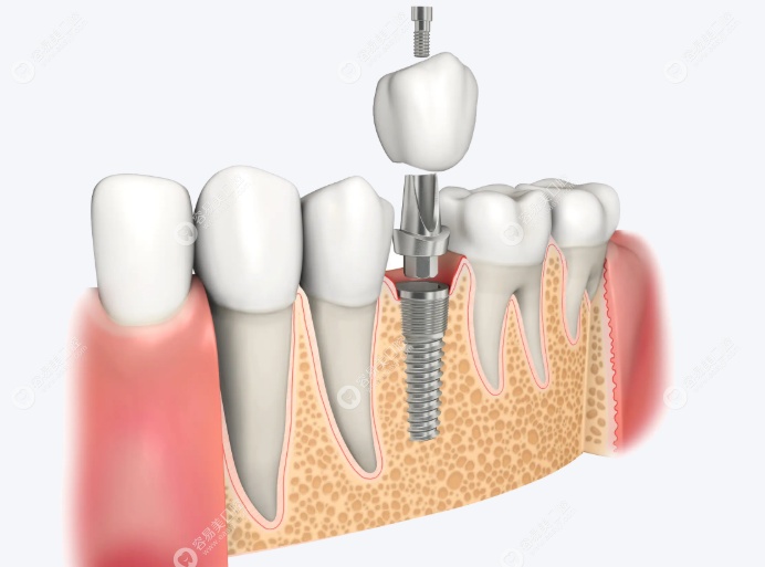 诊疗项目与服务内容