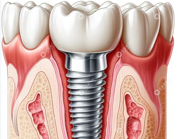 扎实的根基与持续的精进