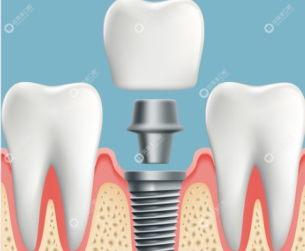 背景与学术成就