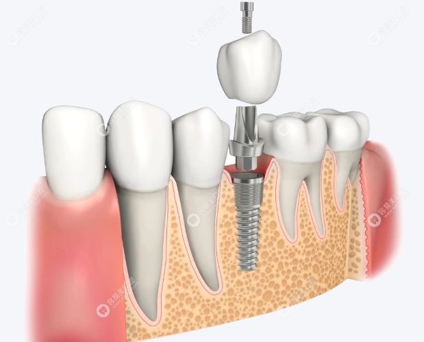 人文关怀与职业理念
