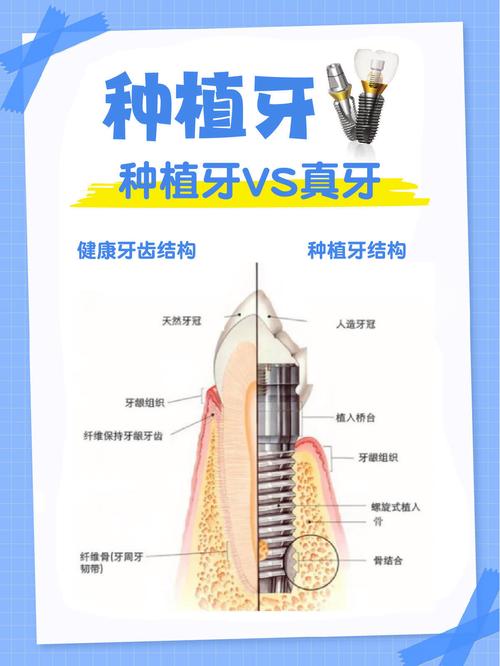 体育西门诊